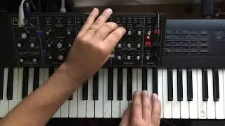 Rush Jacob's Ladder Minimoog solo with Behringer Model D