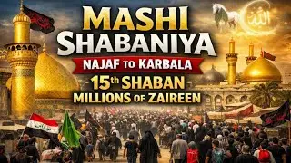 Historic Mashi Shabaniya 15 Shaban | Najaf to Karbala Walk | Imam Mehdi (AS) | aqnature786