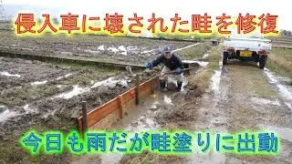 侵入車に壊された畦を修復しましが雨で中止・種籾の袋詰め開始しました・2024
