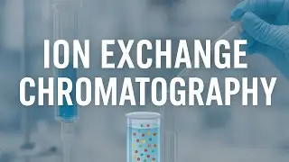Ion Exchange Chromatography Explained | BTech biotechnology course #cuet #chromatography#gate 