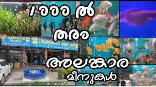 Best fish and aquarium shop in calicut|പലതരം അലങ്കാര മത്സ്യങ്ങൾ വിലക്കുറവിൽ|#Hairuskitchen