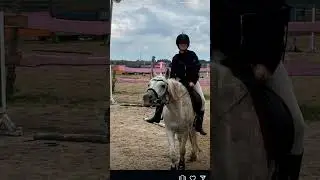 arielek