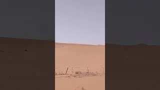 Explore Saudi Arabian Desert