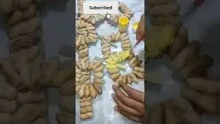 peanut shell craft # new wall hanging design #best craft 🤩🤩