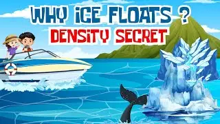 Why Ice Floats on Water? | Density Secret Explained (Telugu) | Ice Enduku Float Avutundi?
