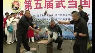 Kung fu masters show 
