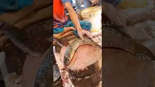 Amazing Sola Fish Skin Removing In Fish Market | Fish Cutting Skills #cuttingskills#pangasfish