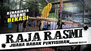 CANARY BOGOR #2 - RAJA RASMI Kok Dilawan !!! Juara Babak Penyisihan Kenari Besar Tiket 100 Ribu