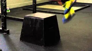 Single Leg Plyo Box Jumps