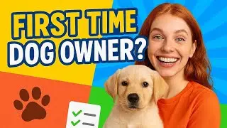 First Time Dog Owner Tips #FirstTimeDogOwner #DogTraining #PuppyCare #DogCare @DaddyTzuAIStudio 
