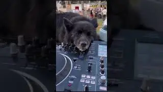 ОБСТАНОВКА ПО КАЙФУ (DJSAX DMITRY)