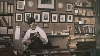 Dublin City Violin Maker, Ireland 1973