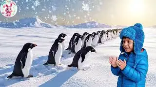 Five Little Blue Jays Chirp Chirp Chirp | Fun Bird Nursery Rhyme for Toddlers | Kids Sing-Along Song