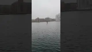 A Foggy day in Denmark. #Denmark, Copenhagen Denmark Weather in December.