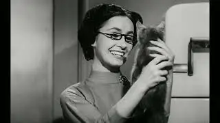 Wasp Woman (1959)