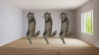 Dancing Wolf Meme ( 1 hour )