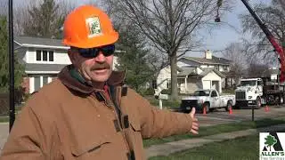 Allens Tree Service Inc. - St Charles County Missouri - About Us - 636-332-5535