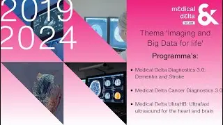 Resultaten 2019-2024 programmering: 'Imaging and Big Data for life'