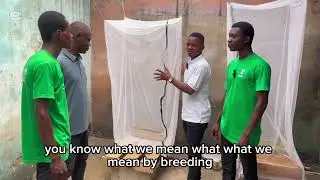 Opening a new BSF(maggot )farm for one of my student  in Rivers State #fishing #nddc +2348107291799