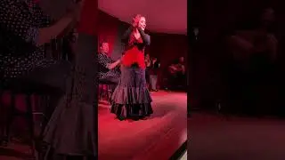 Flamenco Show in Malaga, Spain