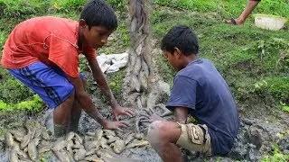 Unbelievable Fishing after rain | A Lot Of Catfish Coming with Raining Water  Part-10