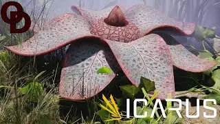 Icarus - Strange Harvest: Bio-Research - E02
