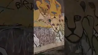 &ldquo;VNE 13&rdquo; One Of The Most Dangerous Gangs in East LA!😳⚠️. #shorts #losangeles #vlog