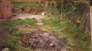 Full landscaping job