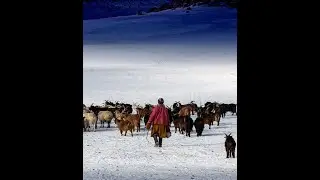 Find a Way - When climate forces migration