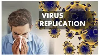 Viral Replication