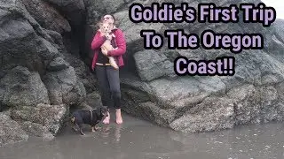 Goldies First Trip To The Beach!! | Elke Rose