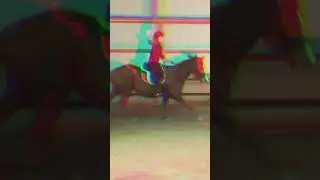 Edit by @Ellie Gerber equestrian!