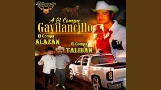 A El Compa Gavilancillo
