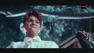 Vani Vishwanath fight scene