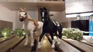 Haul Schleich n°1: Trouvailles à Jouet Club ^^