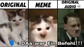 German Cat Original vs meme vs Original audio💀|| DAs war Ein Befehl cat meme