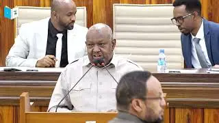 Abdinur Ali Adan