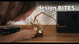 Aquascaping Design BITES  - Glowing Anubias
