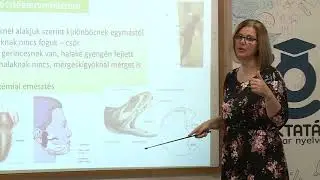 A szervezet energiabiztositása. Az állatok táplálkozása és légzése