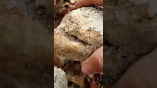 Finding  Crystal Pocket in the Woods