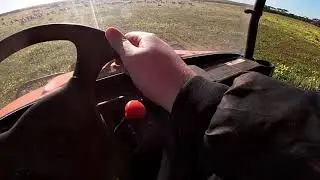 Mustering, Marking Lambs and House update | Nelly Creek IRL #12