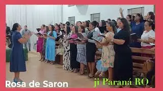 Conjunto Rosa de Saron 