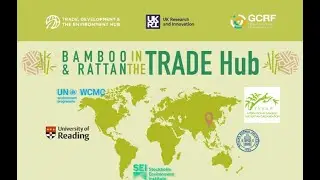 Bamboo & Rattan in the TRADE Hub