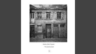 Transient I