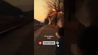 Loyal Dog! 💔 DOG WAITING FOR OWNER Who Passed Away...