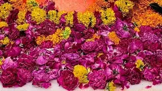 जय जय सिया राम🙏🌺 श्री वीर हनुमान जी 27/12 /25  शनिवार🌹 आज के दर्शन🙏#hanuman#trending#live#viral#yt