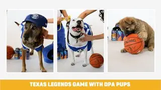 Check Out These Basketball Stars - Texas Legends Hosts DPA Pups