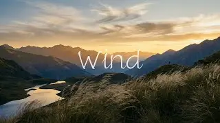 Earth Sign Zodiac Natural Sleep 🍂 432Hz Universe Frequency | Natural Energy | 소, 용, 양, 개띠 수면음악