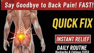 Chronic Backache & Fatigue? Here&rsquo;s What&rsquo;s Really Causing It + Natural Pain Relief Tips