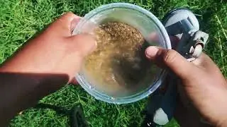 cleaning the baby turtle's mini habitat